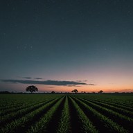 unnerving country sounds meet eerie nightfall ambiance