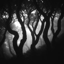 ominous orchestral piece evoking hidden fears and shadows.