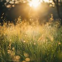 nature inspired harp melody brings peace and reflection