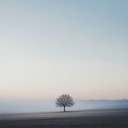 serene dulcimer notes, soft ambient backing.
