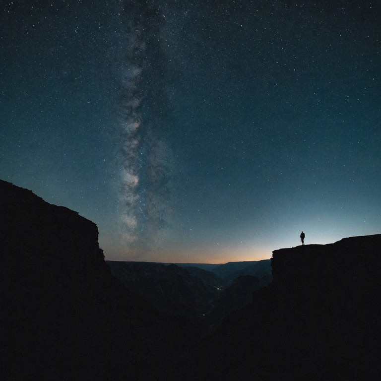 Imagine a lone guitarist playing atop a desert canyon under a starlit sky, each strum echoing into the vast, silent night, blending rock with elements of ambient wilderness sounds. The music takes the listener on a journey through tranquil moods and nature's own rhythms, capturing the essence of solitude and wilderness.