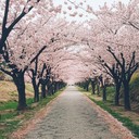 a contemplative instrumental ballad inspired by japanese cherry blossoms