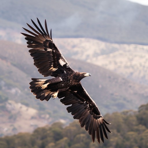 A dramatic instrumental track capturing the essence of an eagle's flight through the australian wilderness, blending the raw, rhythmic sounds of the didgeridoo with modern atmospheric elements. This piece evokes a sense of mystery and adventure as it transports the listener through an ancient, untouched landscape.