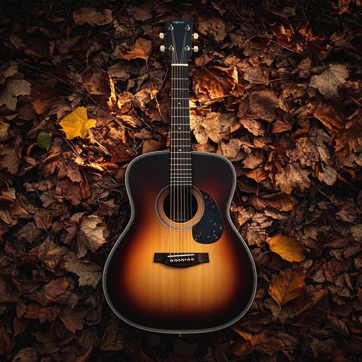 Plucking the strings of an acoustic guitar, the piece unfurls a tapestry of gentle sadness and reflective calm, embodying the tranquil essence of autumn. Listeners are transported to a serene world of falling leaves and wistful solitude, where each note is a whisper of the season's gentle farewell