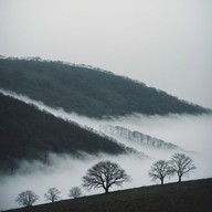 eerie melodies reflect a journey through misty landscapes