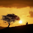 instrumental tunes reflecting calm brazilian countryside at dusk.