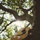 gentle guitar ballad evoking tranquil woodland imagery