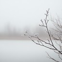 ethereal sounds capture winter's frozen tranquility