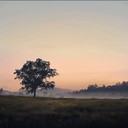 relaxing sounds for a peaceful, reflective evening