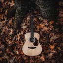 guitar strums echo through the forest