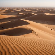 soft tune reflecting the peaceful sahara sunrise.