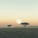 calming afrobeat music with summer morning energy