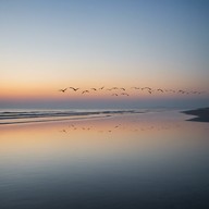 melodic relaxation with sunset and ocean