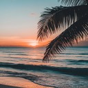 relaxing beats for a chilled sunset vibe