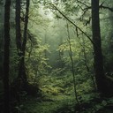 soundscape of early forest awakening.