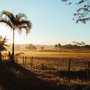 nostalgic, gentle tribute to brazil's rural tranquility