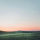 guitar strings summon rustic tranquility