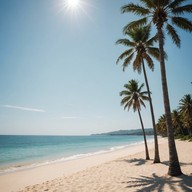 uplifting, light, refreshing electronic summer tune.