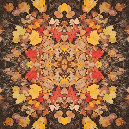 In this track, subtle whispers of the wind mix with the rustling of dry leaves, crafting an atmospheric soundscape that epitomizes the essence of a serene autumn afternoon. The ambient piece slowly builds a meditative harmony, inviting listeners to deeply connect with the season’s tranquil beauty.