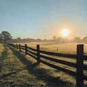 gentle americana blending harmonica and guitar for calm mornings.