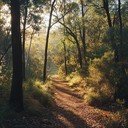 soft guitar strums mimic gentle forest whispers