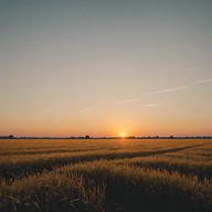 quiet guitar, serene nature atmosphere