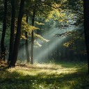 nature inspired orchestra creating a soothing and restful ambience