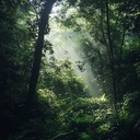 gentle melodies mimicking tranquil forest sounds