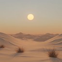 morning ambience sweeps over sandy landscapes