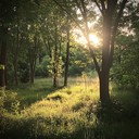 soulful melody capturing a gentle, tranquil summer evening