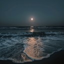 reflective melody under the moonlight glows