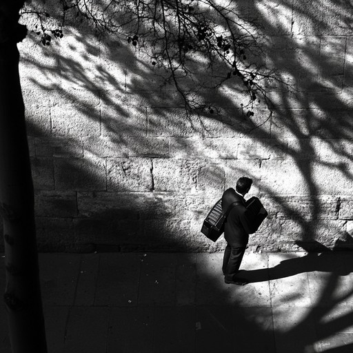 Imagine a gentle, intimate journey through paris at night, guided by the evocative and romantic sounds of an accordion. This alternative description emphasizes the personal, almost introspective experience of walking in paris, allowing the music to become a personal soundtrack to the sights and emotions encountered along the way.