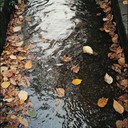 calming sounds by a flowing river