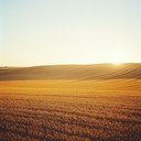 evoke peace in vast cinematic golden fields