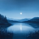 an intimate orchestral piece capturing the stillness of night