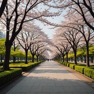 a calming journey through urban japan