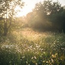 joyful melody welcomes the morning light