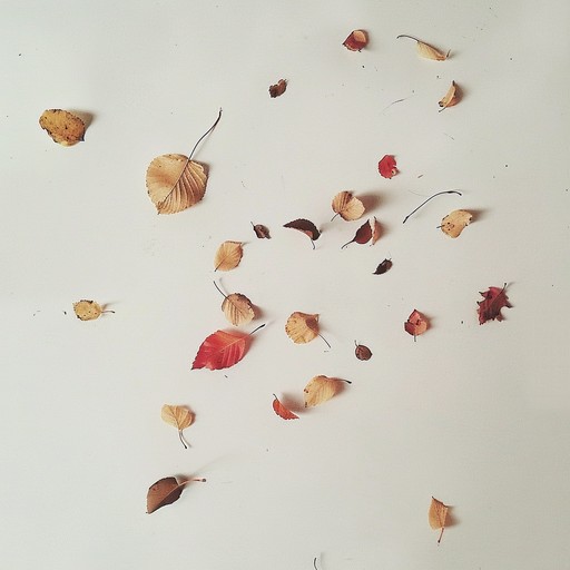 This track features a deeply melancholic piano composition, painted with gentle, reflective strokes that emulate the slow, graceful fall of leaves in autumn. The melody swirls in a minor key, capturing an essence of both beauty and a poignant sense of loss, enhanced by a minimalist arrangement that leaves space for introspection