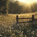 gentle, uplifting polka with tender accordion and strings