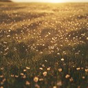 soft, soothing tunes blend with natural ambient sounds