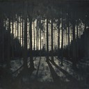 eerie whispers echo through a moonlit shadowed forest