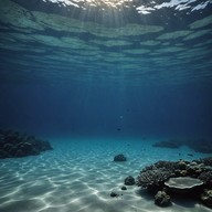 submerged echoes weave through shadowy depths