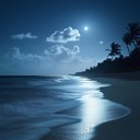 smooth, rhythmic salsa with soothing tropical vibes
