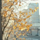 nostalgic k pop tune evoking seoul's autumn beauty.