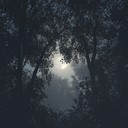 a gentle r&b song with soft melodies for peaceful nights