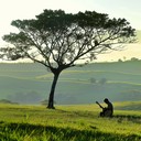 instrumental exploration of brazilian sertanejo's emotional landscapes