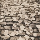 melancholic oldies tune evoking nostalgia and reflection