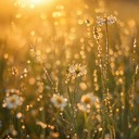 uplifting journey through sunlit meadow, full of hope.