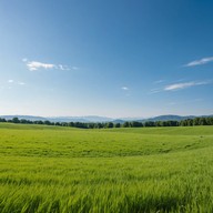 nature inspired melodies echo through timeless landscapes