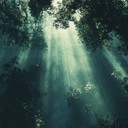 mystical journey through ancient woodland sounds